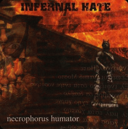 Necrophorus Humator